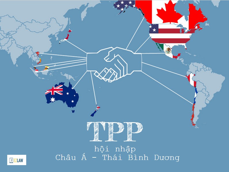 Hiệp định TPP: Hiệp định TPP đã mang lại nhiều lợi ích cho khu vực Châu Á-Thái Bình Dương như mở rộng thị trường, tăng cường hợp tác kinh tế và chia sẻ tri thức. Các quốc gia thành viên đã cùng nhau đẩy mạnh phát triển kinh tế và hạ tầng.