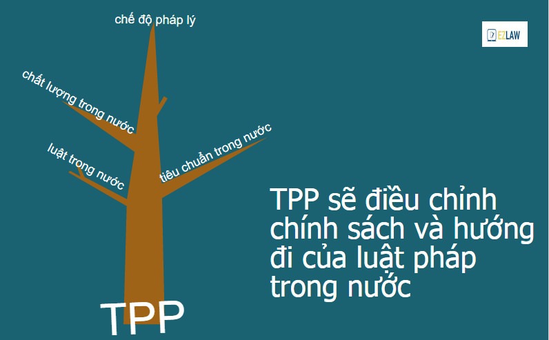 TPP Hội nhập Châu Á Thái Bình Dương 7