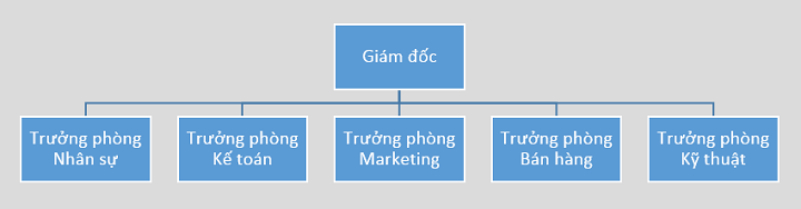 Bộ máy quản trị của doanh nghiệp lớn và nhỏ khác nhau ở đâu